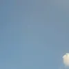 frefree267