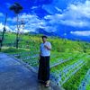 ahmad_rozi