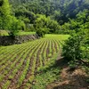 beautifullandscap5