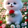 rmcljo