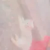 rajpootgirl669