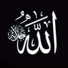 user8135629984875