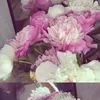 user9381168181488