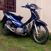 rex07530