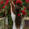 shabqueen2