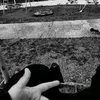 3ith4anwolhwend