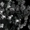 ki.wssx6