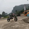 roy.jr229
