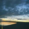 a1yanovich