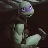 tortuga105332