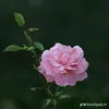user100330032460