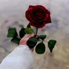 intesar.alsheikh0
