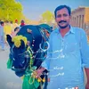 badaal.awan