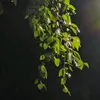 pixel7imba