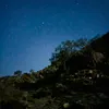 sjsgwyypng2