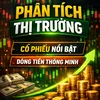 ti.chnh.d