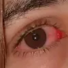 laila.dardmana