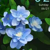 jakir52925