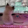 buymepinklillies