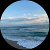 seashellifee