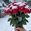 user9552008112555