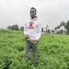 kijana nacha