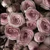 gulsezim_062