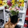aishamuhemedi