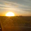 dylan_corbo3