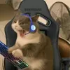 srpetra0