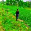 dn.maruf79
