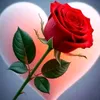 user8480003216826
