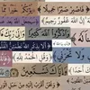 user6001690542352h