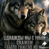 user4790668141949