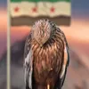 hayatm685