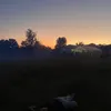 noah_mriau5