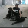 user6180814924573