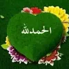 user8609291790685