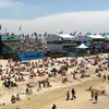 capobeachsurfer