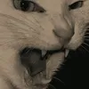 maribeti6
