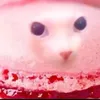 siren_xeruv1m