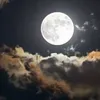 abed.lila4