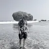 todimarr
