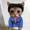 crika_gato