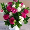 guldana.ainekbaev