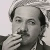 sarok_5111