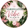 Variegated  Plant Vibes