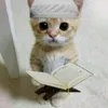 the_sapla8