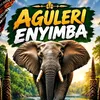 nwaafoaguleri