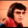 sassy_alfredo77